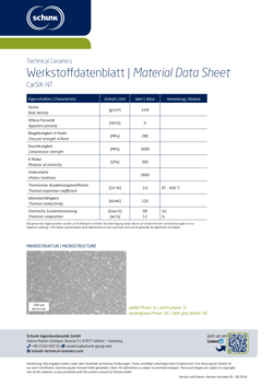 Datasheet: CarSIK-NT