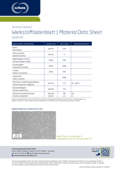 Datasheet: CarSIK-NT