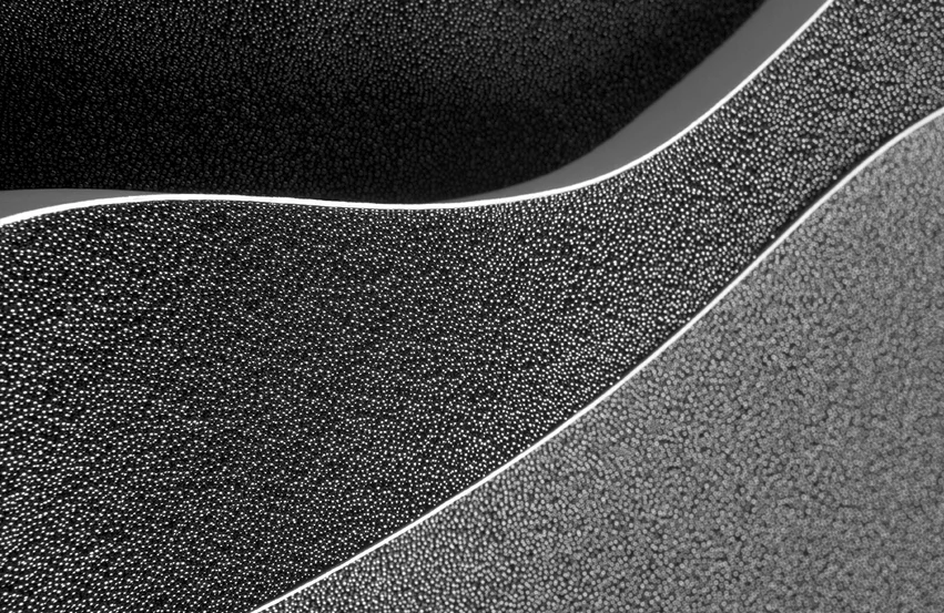 Special Activated Carbon (SAC) from Schunk Carbon Technolog