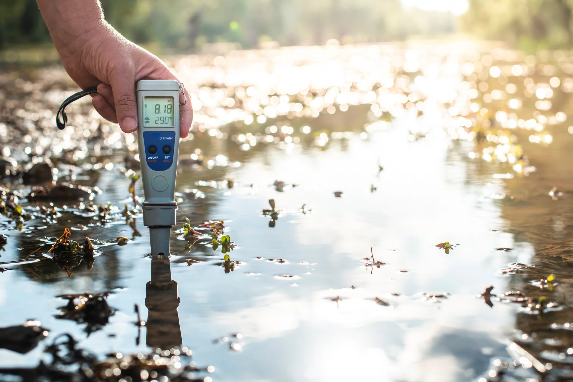  Hand holding a digital pH meter in a shallow body of water for outdoor water quality analysis.