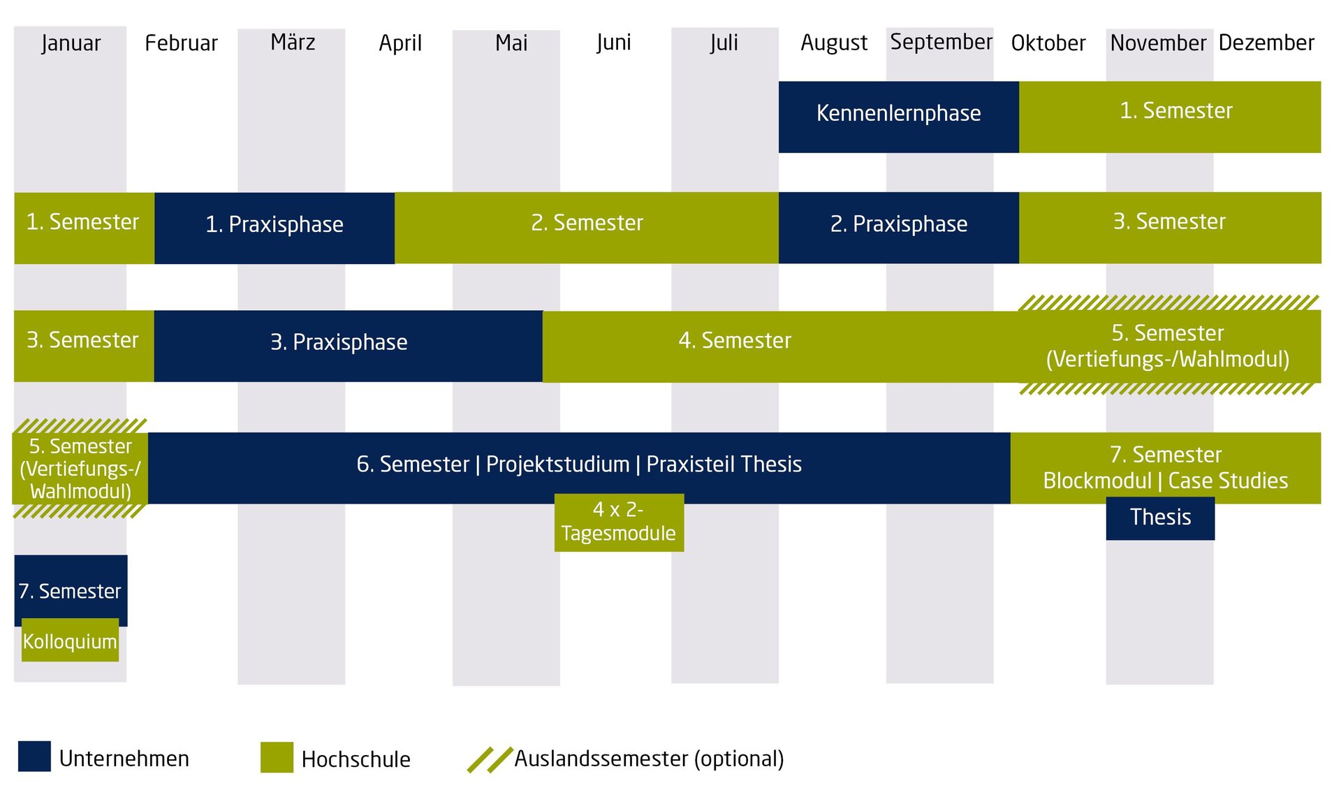  Chart zeigt verschiedene Phasen des Studiums Plus bei Schunk