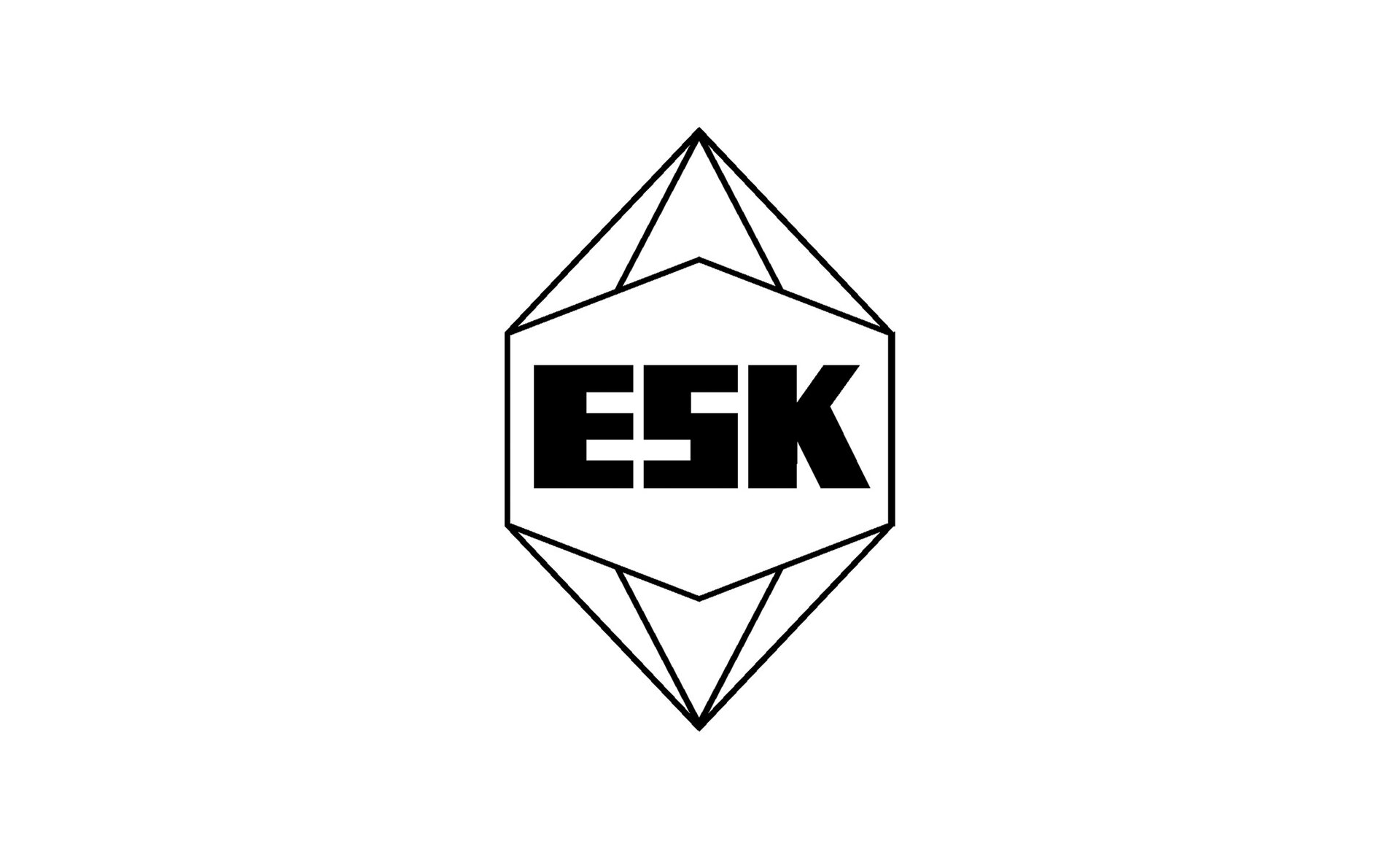  Markenlogo von ESK-SIC - ein Unternehmen der Schunk Group