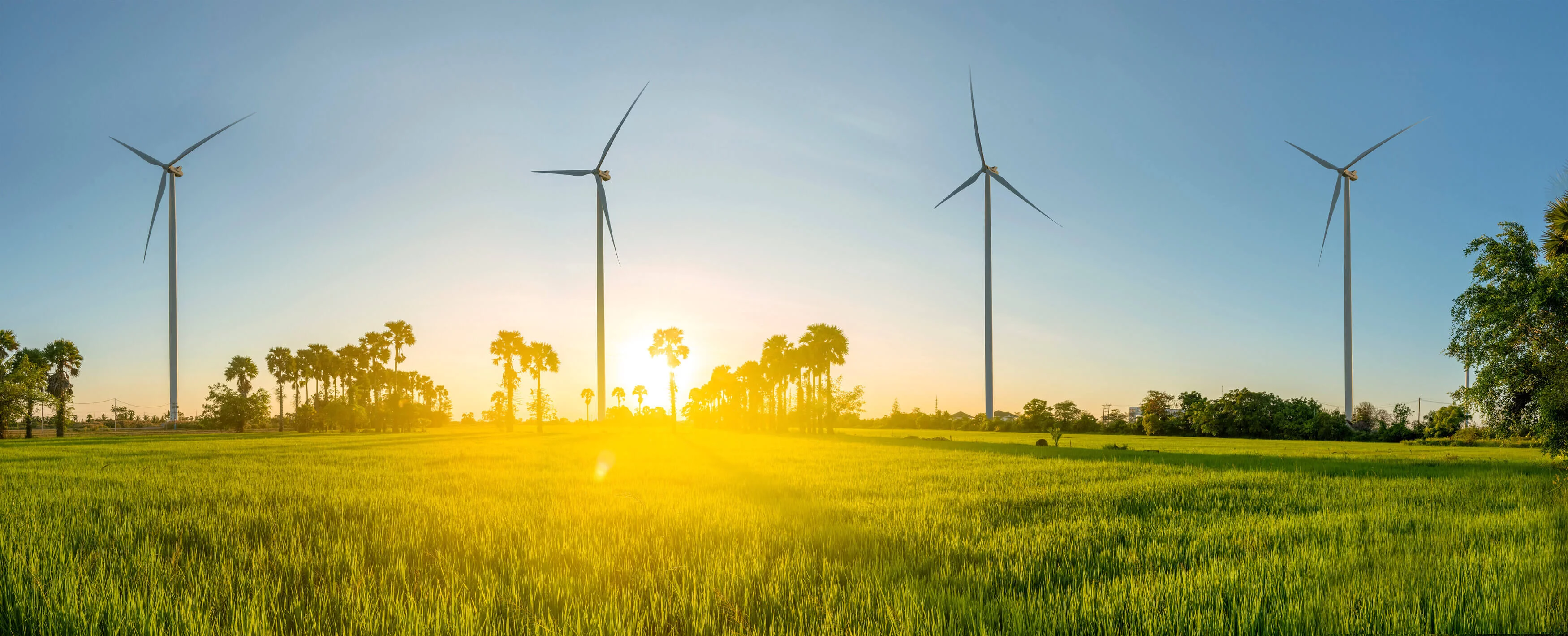 Eine Wiese mit Windrädern und im Hintergrund sieht man die Sonne aufgehen