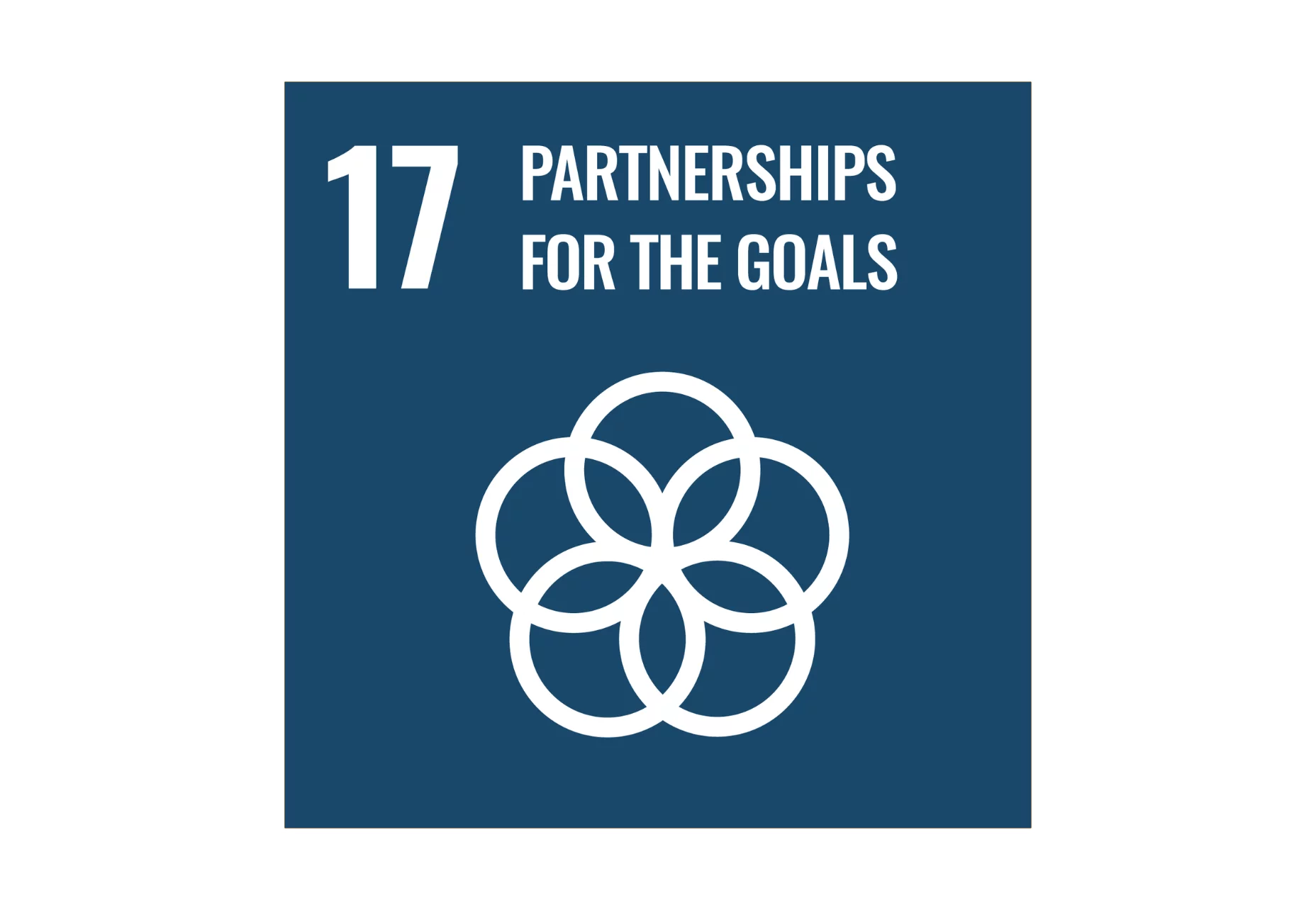  Blue Icon Partnerships and Goals
