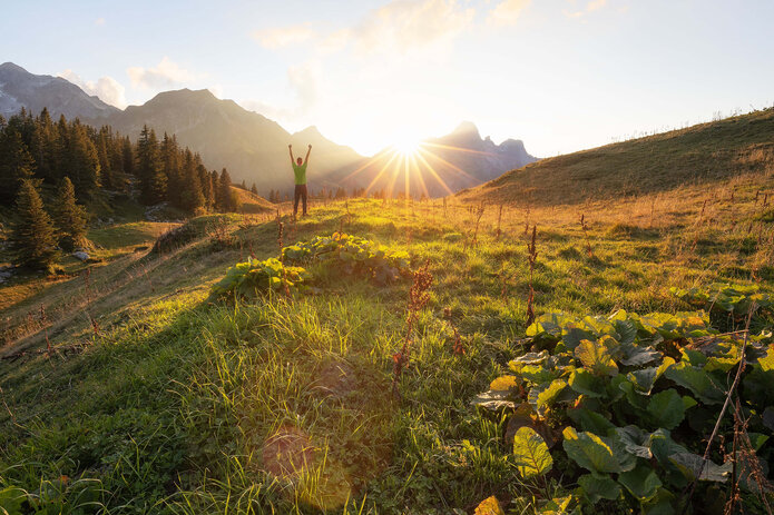  A person stands in the green on a hill and watches the sunrise in the alpine panorama